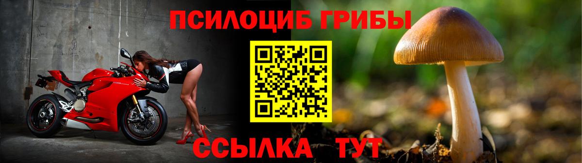 Галлюциногенные грибы Psilocybine cubensis  Вход с VPN  Гагарин  Галлюциногенные грибы прущие грибы 